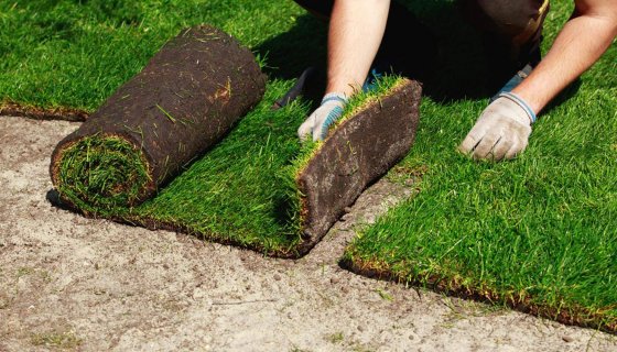 Cunda Otel Peyzaj Tasarımı